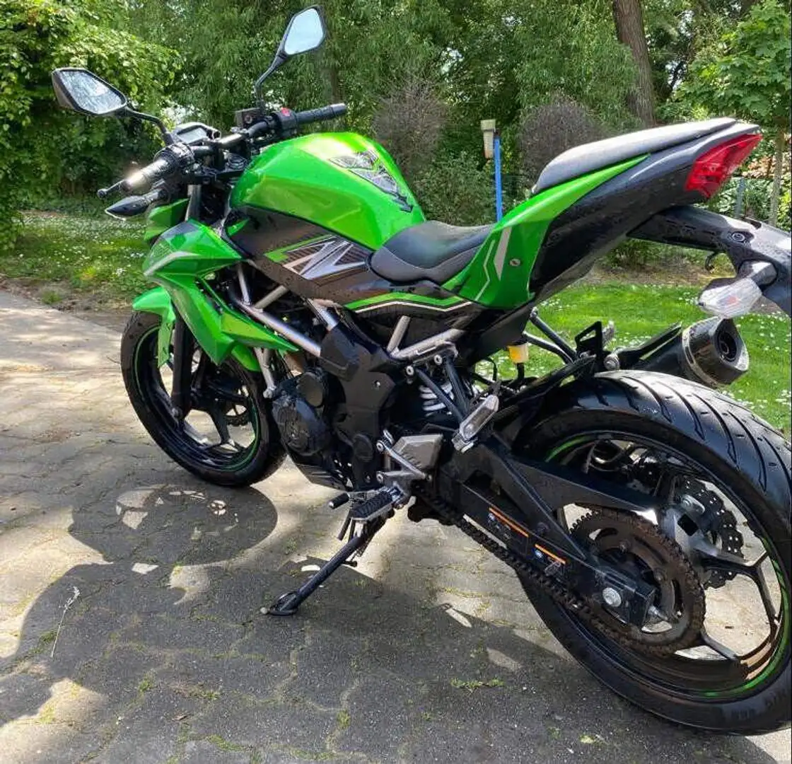 Kawasaki Z 125 Vert - 1