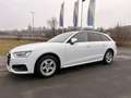 Audi A4 A4 Avant 35 TDI advanced S-tronic advanced Weiß - thumbnail 2