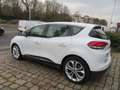 Renault Scenic 1.5 DCI 110CH ENERGY BUSINESS Blanc - thumbnail 6