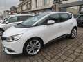 Renault Scenic 1.5 DCI 110CH ENERGY BUSINESS Blanc - thumbnail 5