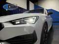 CUPRA Leon 1.5 ETSI Tech Edition DSG 110Kw Biały - thumbnail 36