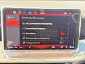 Volkswagen Passat 2.0 TDI R-Line 4Motion *ACC*STHZ* MATRIX*AHK* Grau - thumbnail 18
