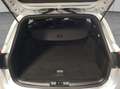 Ford Focus Turnier 1.0 Hybrid ST-LINE X AHK/ACC/Winter- Zilver - thumbnail 6