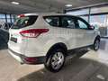 Ford Kuga Trend Rentnerfahrzeug/Unfallfrei! Weiß - thumbnail 5