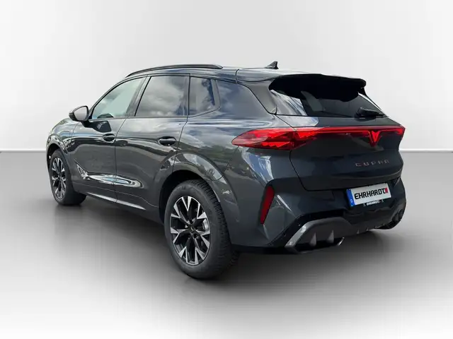Cupra Terramar view 9