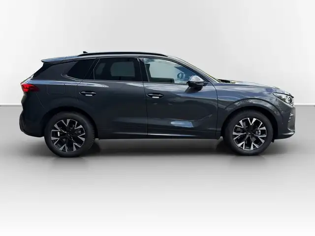 Cupra Terramar view 5
