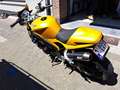 Triumph Speed Triple 1050 Auriu - thumbnail 7