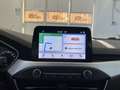 Ford Focus Focus 1.5 EcoBlue 120 CV 5p. Business TUA DA 149, Blauw - thumbnail 13
