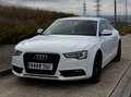Audi A5 A5 Sportback 2.0TDI Multitronic 177 Blanco - thumbnail 1