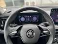 Skoda Kodiaq TDI 4x4 Selection *NAVI,LEDER,RFK,ACC,AHK* Schwarz - thumbnail 8