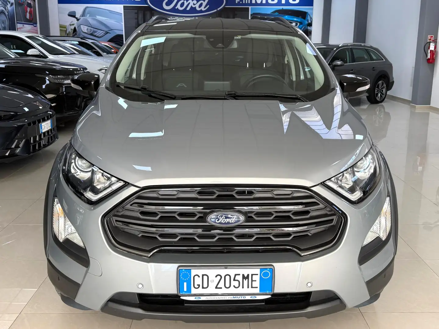 Ford EcoSport 1.0 Ecoboost 125 CV Active - TELECAMERA -SENSORI Argento - 2