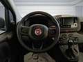 Fiat Panda 1.0 FireFly S&S Hybrid PANDINA ADAS Blu/Azzurro - thumbnail 9