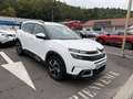 Citroen C5 Aircross BlueHDi 130ch S&S Shine Alb - thumbnail 2