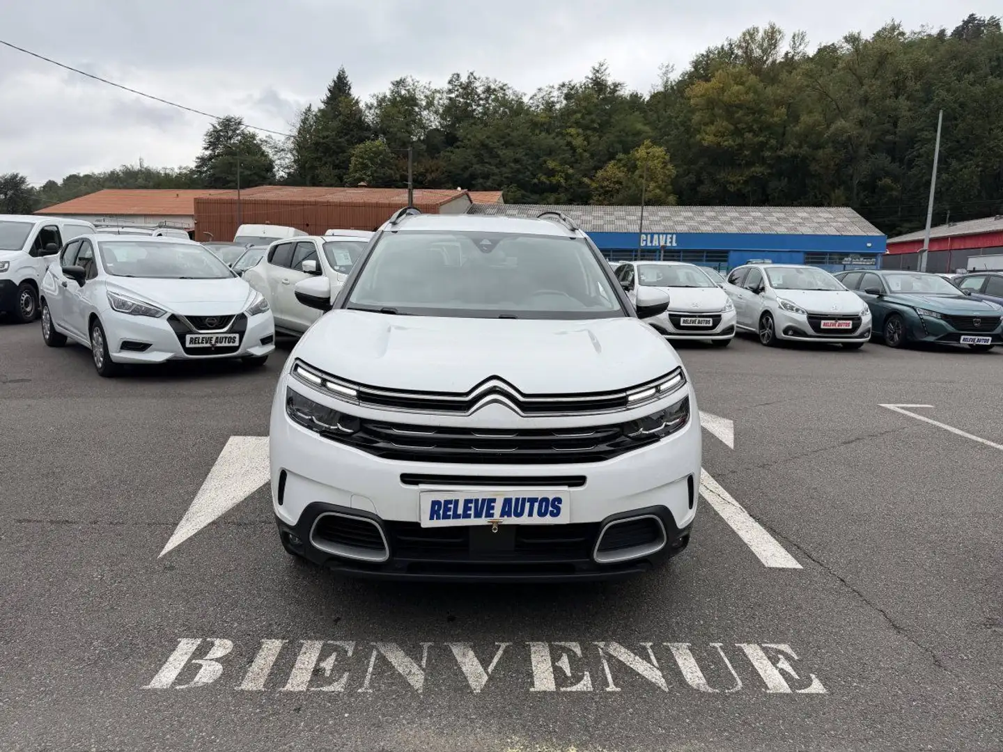 Citroen C5 Aircross BlueHDi 130ch S&S Shine Blanco - 1