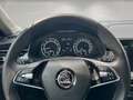 Skoda Kamiq 1.0TSI DSG Ambition LED+TEMPOMAT+KAMERA+++ Grau - thumbnail 14