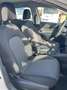SEAT Ibiza 1.6 TDI 70kW (95CV) Reference Business Blanco - thumbnail 7