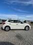 SEAT Ibiza 1.6 TDI 70kW (95CV) Reference Business Blanco - thumbnail 5