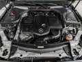 Mercedes-Benz E 300 E 300 de Avantgarde LED/AHK/Schiebedach/360°/DAB Grau - thumbnail 8