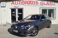 Mercedes-Benz E 350 E 350 BlueTec 4Matic GSD*LED Gris - thumbnail 1