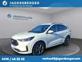 Ford Kuga 1,5 EcoBoost ST-Line Aut. Weiß - thumbnail 1
