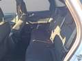 Ford Kuga 1,5 EcoBoost ST-Line Aut. Weiß - thumbnail 15