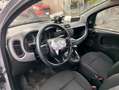 Fiat Panda Panda  1.0 hybrid City Cross SINISTRATA Grau - thumbnail 7