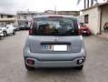Fiat Panda Panda  1.0 hybrid City Cross SINISTRATA Grau - thumbnail 5