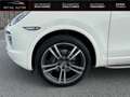 Porsche Cayenne 3.0 V6 TDI FAP - 240 - BVA Tiptronic S Wit - thumbnail 5