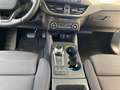 Ford Focus Titanium 1.5 EcoBoost Automatik ACC Blau - thumbnail 9