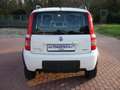 Fiat Panda 1.3 MJT 16V 4x4 Climbing- Blanco - thumbnail 7