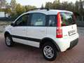 Fiat Panda 1.3 MJT 16V 4x4 Climbing- Blanco - thumbnail 5