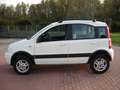 Fiat Panda 1.3 MJT 16V 4x4 Climbing- Blanco - thumbnail 4