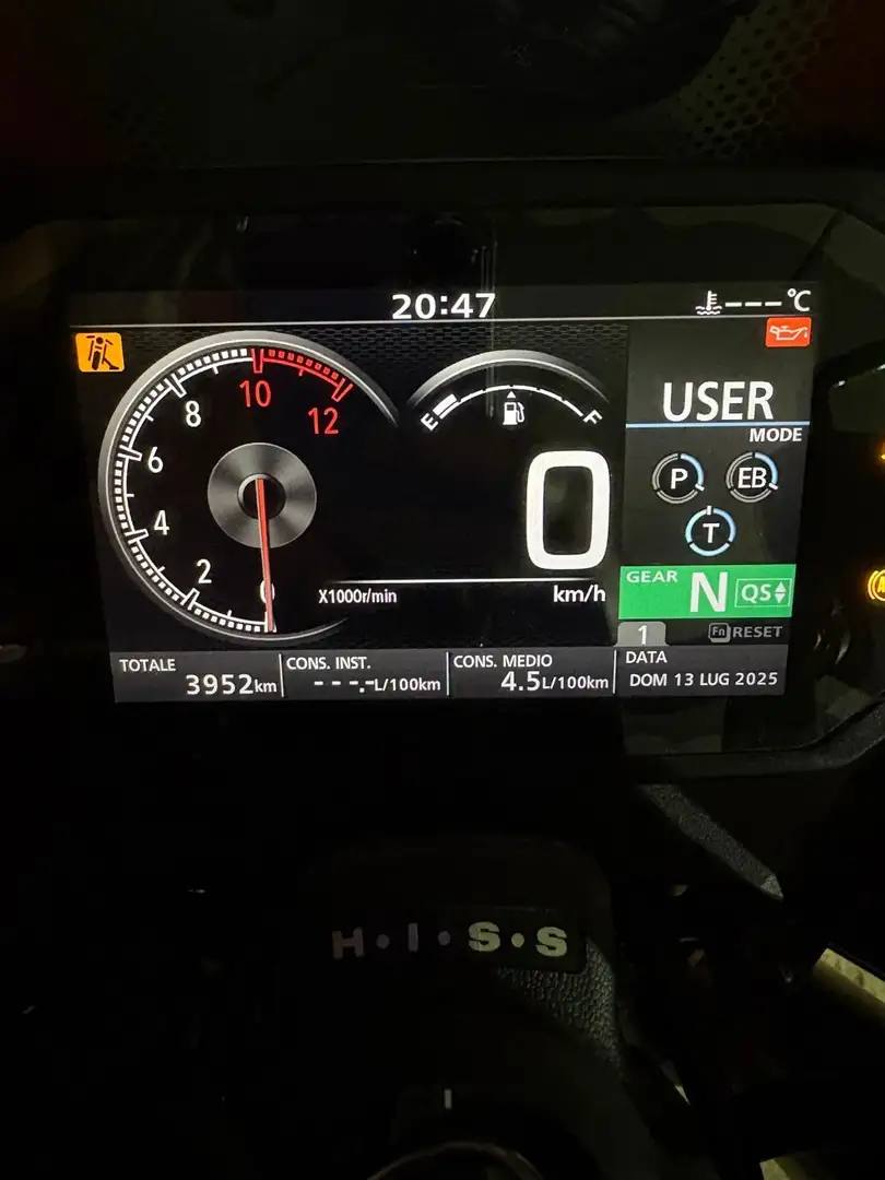 Honda Hornet Grigio - 1