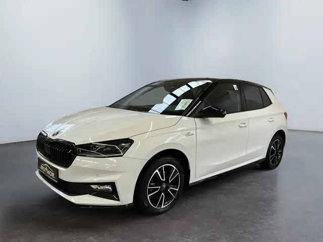 Skoda Fabia view 2