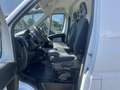 Fiat Ducato 33 2.3 MultiJet L3H2 130 PK | Handgeschakeld | 3-Z - thumbnail 23