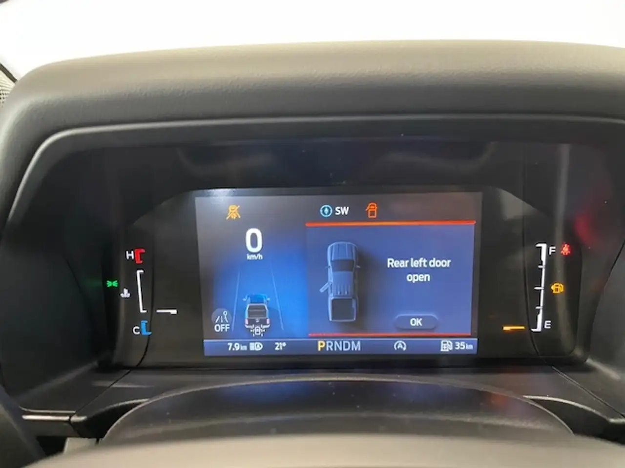 Ford Ranger Wildtrak e-4WD Doppelkabine 2.0 Ecoblue Kamera 12