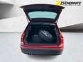 Volkswagen Tiguan 1.5 TSI BMT IQ.DRIVE ACC+Navi+SHZ+Kam.+LM Rot - thumbnail 7