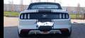 Ford Mustang Convertible 2.3 ecoboost 317cv Bianco - thumbnail 8