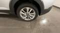 Volkswagen Taigo Taigo 1.0 TSI 115cv Edition + Silber - thumbnail 7