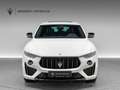 Maserati Levante Modena S Ultima PANO + 1. HAND Blanc - thumbnail 3