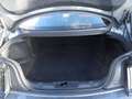 Ford Mustang 5.0 V8 Autom. GT Coupe +Magneride+Premiumpaket II Gris - thumbnail 9