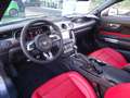 Ford Mustang 5.0 V8 Autom. GT Coupe +Magneride+Premiumpaket II Gris - thumbnail 12