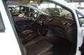 Ford Fiesta **VERKOCHT/VENDU/SOLD**Fiesta 1.25 airco,pdc Wit - thumbnail 14