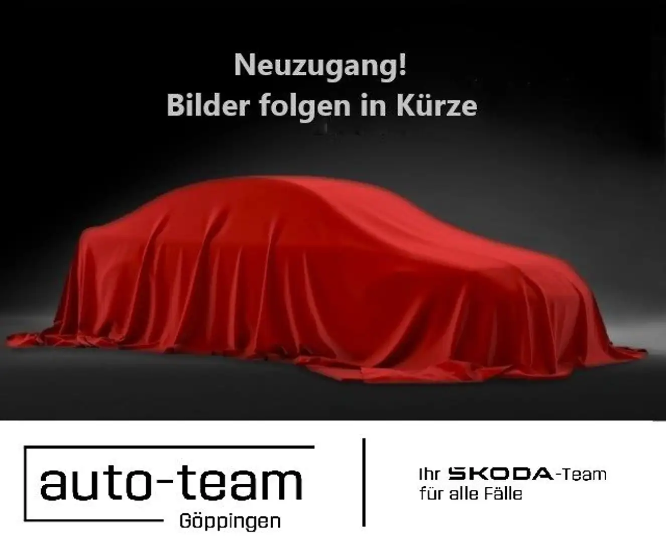 Skoda Octavia Combi RS 2,0l TDI 147kW DSG NAVI,ACC Grau - 1