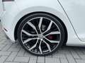 Volkswagen Golf GTI 2.0 TSI Performance DSG Panoramadak Blanco - thumbnail 39