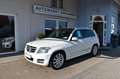 Mercedes-Benz GLK 220 CDI 4Matic PanoDach Xenon AHK Sport Blanco - thumbnail 2