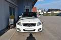 Mercedes-Benz GLK 220 CDI 4Matic PanoDach Xenon AHK Sport Blanco - thumbnail 3