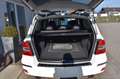 Mercedes-Benz GLK 220 CDI 4Matic PanoDach Xenon AHK Sport Blanco - thumbnail 10