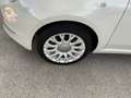 Fiat 500 500 C 1.2 Collezione AUTOMATICA.PELLE. EDIZ.LIMITA Beige - thumbnail 6
