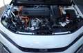 Honda Civic Civic 2.0 hev Sport ecvt Bianco - thumbnail 15